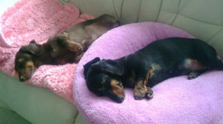 20100325151221.jpg